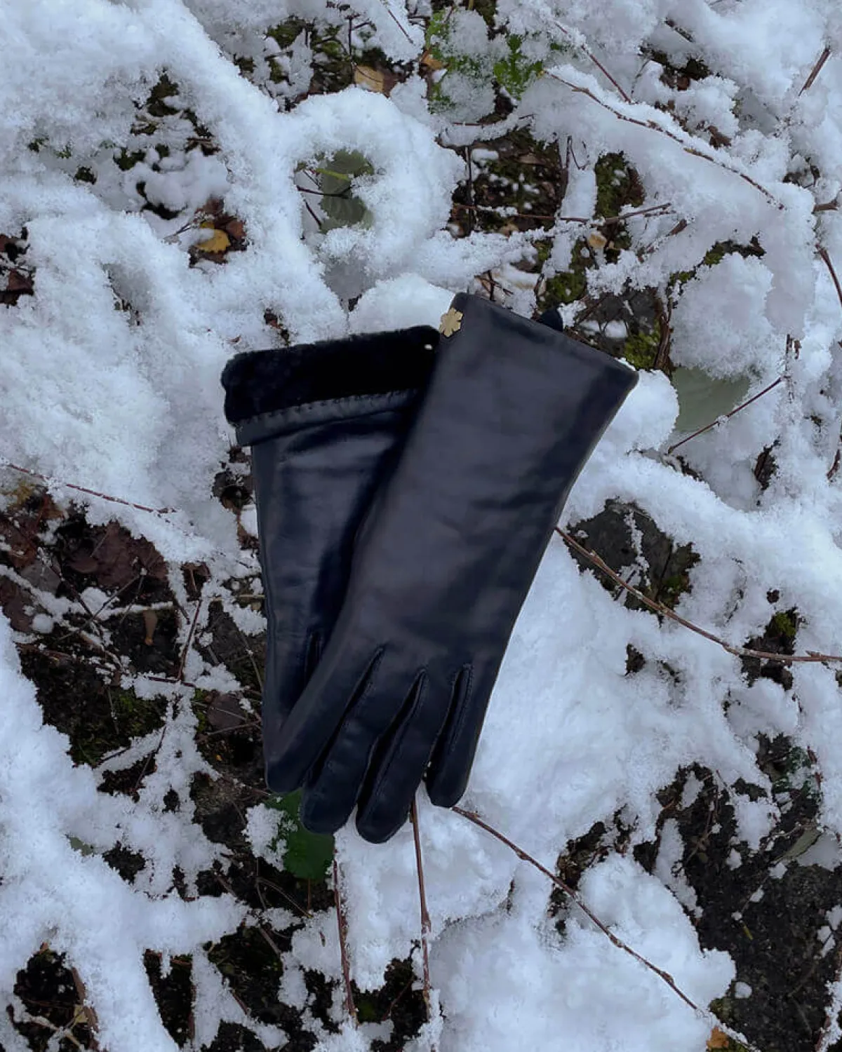 ANNA SHEARLING<Randers Online