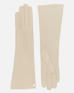 DAGMAR 6