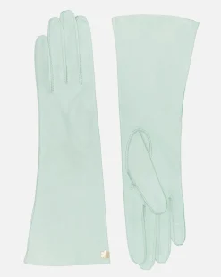 DAGMAR 6