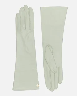 DAGMAR 6