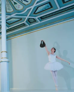 SWAN TASKE KLASSISK -<Randers New